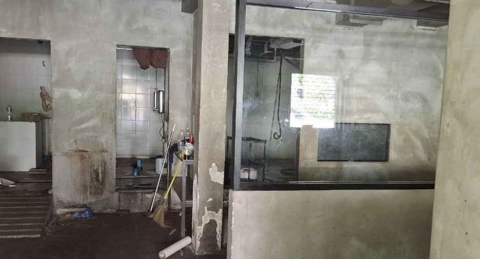 Gewerbefläche zum Kauf und zur Miete in Watthana, Bangkok