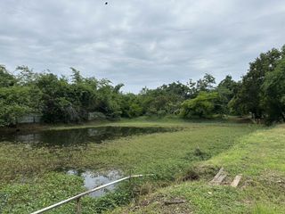 For sale land in Bang Saray, Pattaya