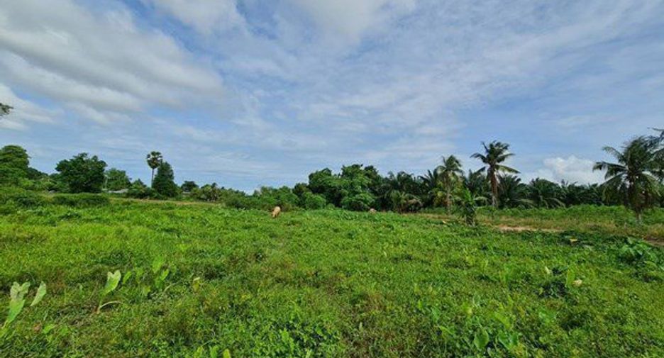 À vendre terrain à Bang Lamung, Chonburi