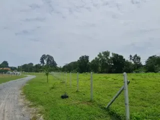 出售 土地 在 Bang Lamung, Chon Buri