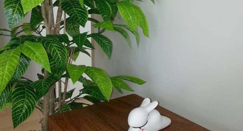 ให้เช่า 2 ห้องนอน คอนโด ใน คลองเตย, กรุงเทพฯ