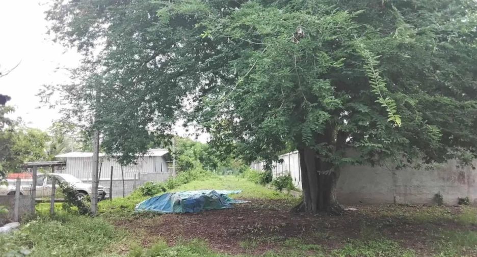 Terreno en venta en Hang Dong, Chiang Mai