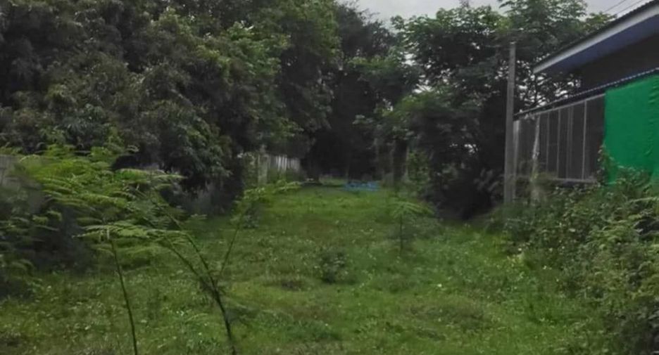 Terreno en venta en Hang Dong, Chiang Mai