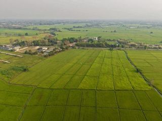 Terreno en venta en Mae Rim, Chiang Mai