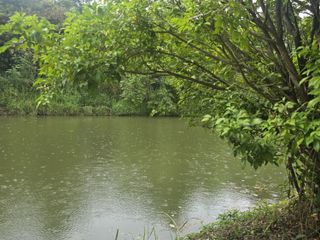 出售 土地 在 Doi Saket, Chiang Mai
