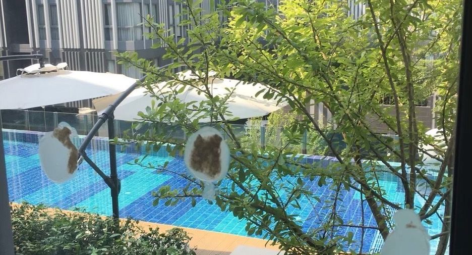 For sale and for rent 1 bed condo in Phra Khanong, Bangkok