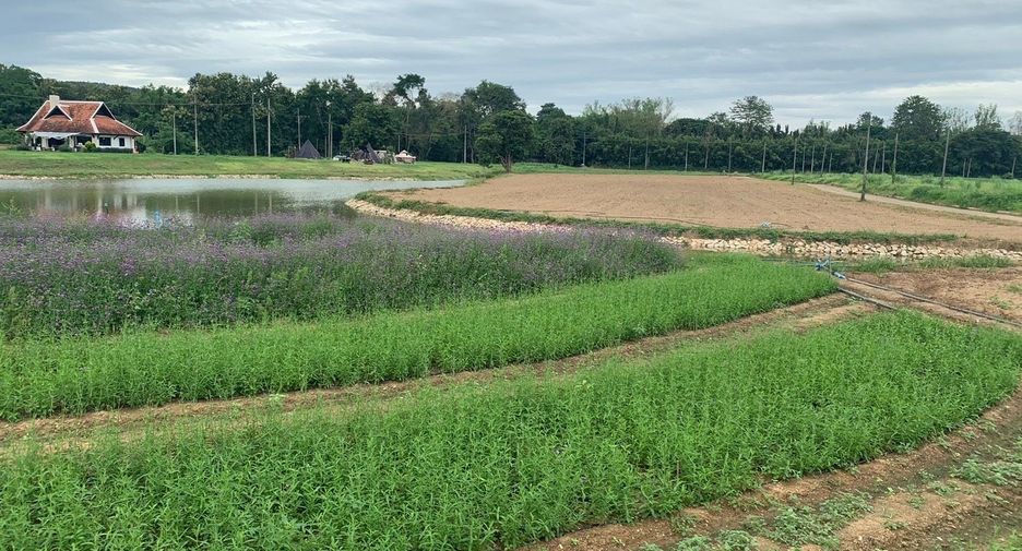 Terreno en venta en Mae Taeng, Chiang Mai