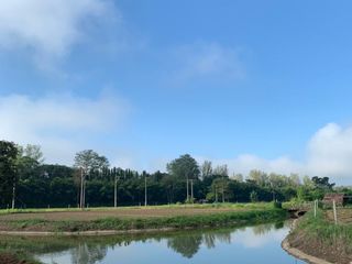 For sale land in Mae Taeng, Chiang Mai