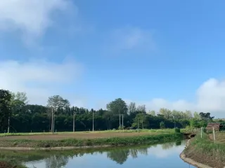 For sale land in Mae Taeng, Chiang Mai