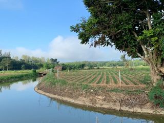 For sale land in Mae Taeng, Chiang Mai