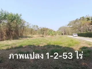For sale land in Mae Rim, Chiang Mai