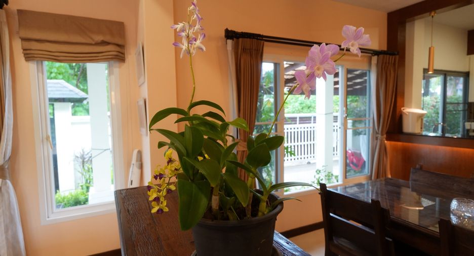 Villa en venta y en alquiler de 3 habitaciones en Mueang Phuket, Phuket