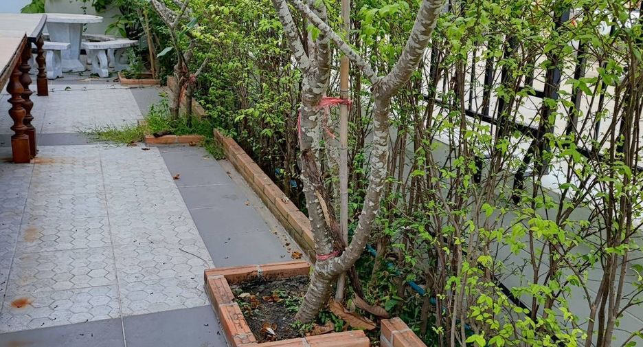 For rent 6 bedrooms townhouse in Mueang Chiang Mai, Chiang Mai