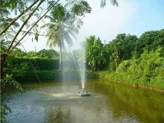 For sale 5 bedrooms house in San Pa Tong, Chiang Mai