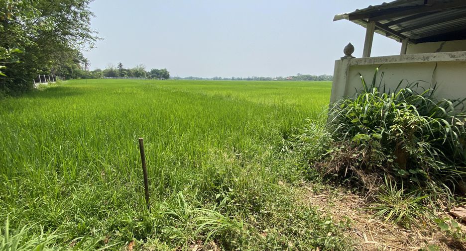 Terreno en venta en San Sai, Chiang Mai