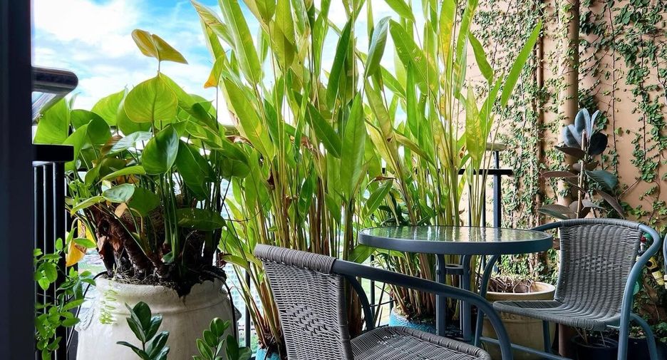 For rent 1 bed condo in Mueang Chiang Mai, Chiang Mai