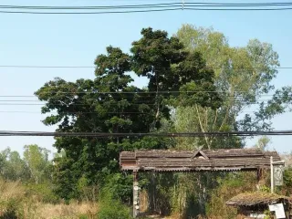 出售 土地 在 San Kamphaeng, Chiang Mai