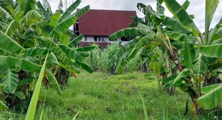 Grundstück zum Kauf in Mae Rim, Chiang Mai