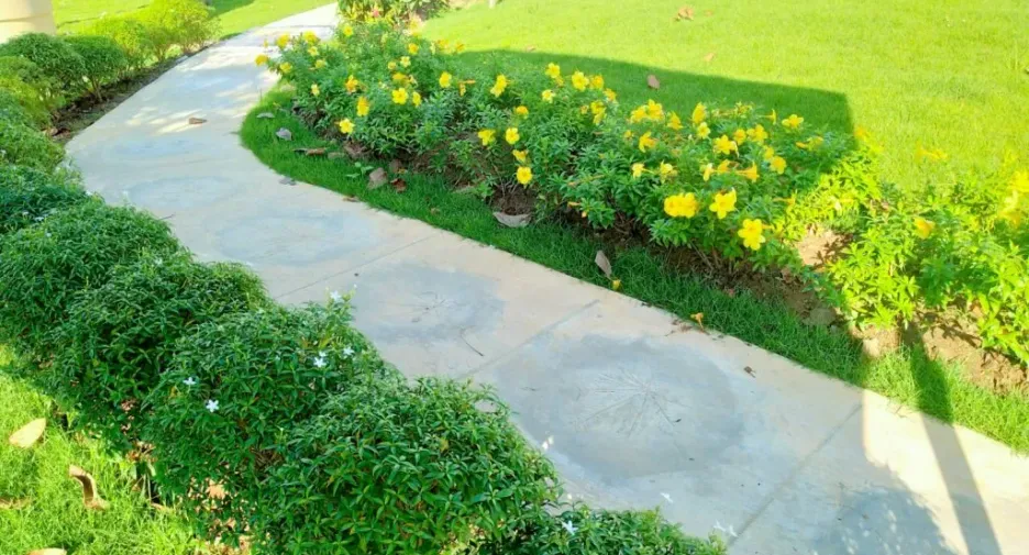 For sale 3 bedrooms house in San Sai, Chiang Mai