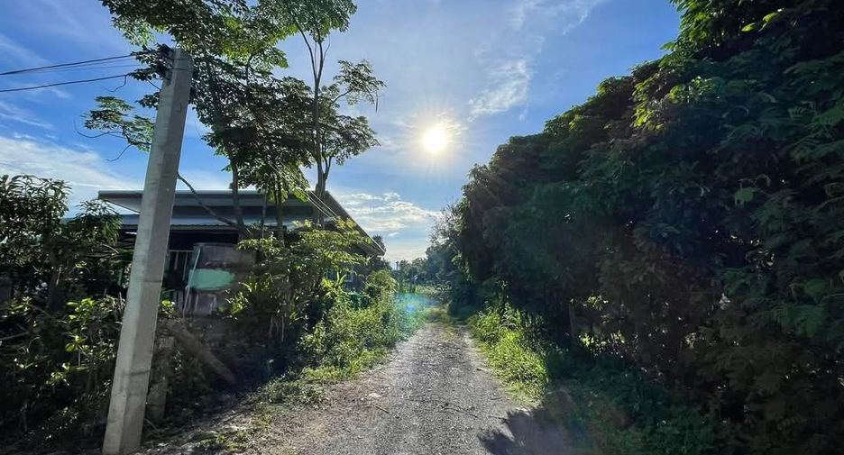 For sale land in San Sai, Chiang Mai