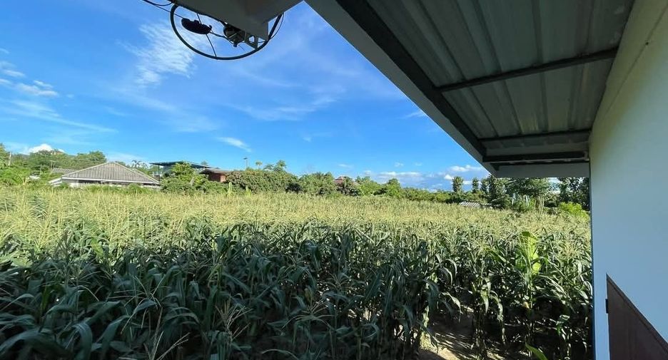For sale land in San Sai, Chiang Mai