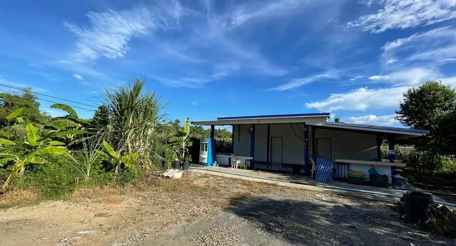 For sale land in San Sai, Chiang Mai