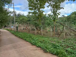 À vendre 1 chambre maison à Doi Saket, Chiang Mai