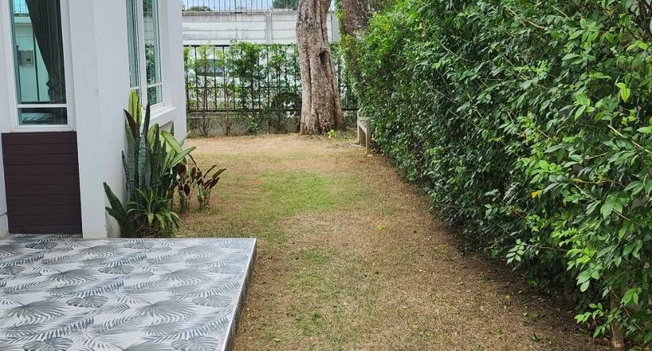 出租 3 卧室 独立屋 在 Mueang Chiang Mai, Chiang Mai