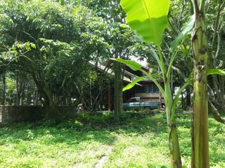 For sale land in Mae Taeng, Chiang Mai