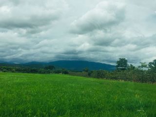 For sale land in Hang Dong, Chiang Mai