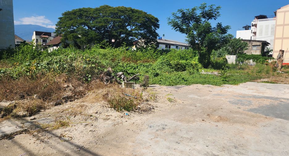 For sale land in Mueang Chiang Mai, Chiang Mai