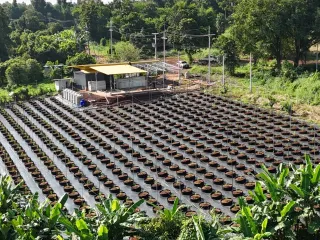 出售 土地 在 Mae Taeng, Chiang Mai
