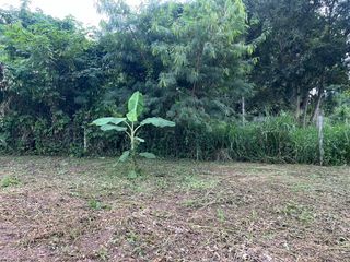 For sale land in Mae Rim, Chiang Mai