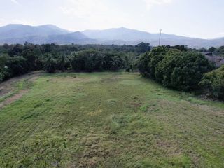 出售 土地 在 Mae Rim, Chiang Mai
