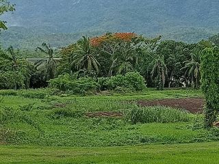 出售 土地 在 Mae Rim, Chiang Mai