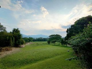 出售 土地 在 Mae Rim, Chiang Mai