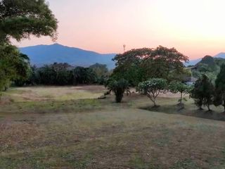 出售 土地 在 Mae Rim, Chiang Mai