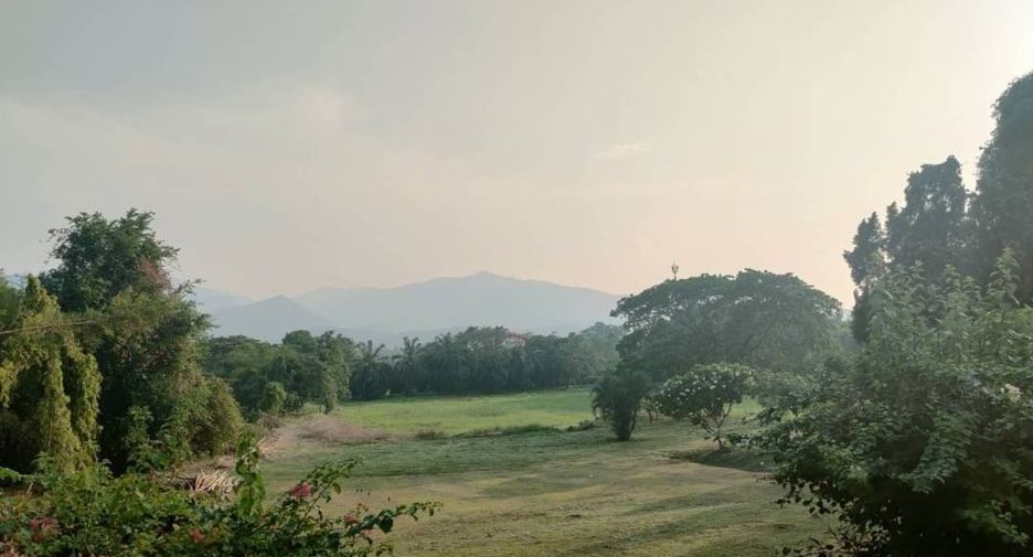 Grundstück zum Kauf in Mae Rim, Chiang Mai