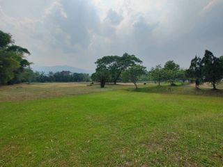 出售 土地 在 Mae Rim, Chiang Mai