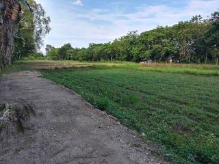 Продажа Участок в Мае Рим, Чианг Маи