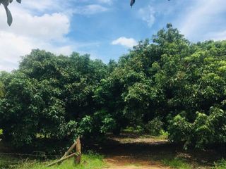 For sale land in Hang Dong, Chiang Mai