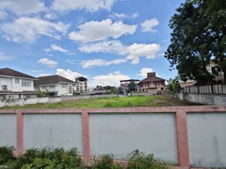 For sale land in San Sai, Chiang Mai