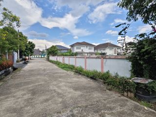 For sale land in San Sai, Chiang Mai