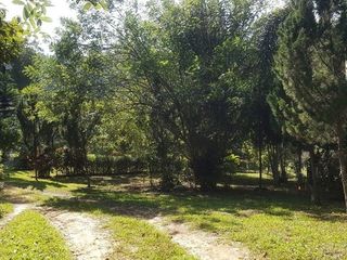 For sale land in Mae Taeng, Chiang Mai