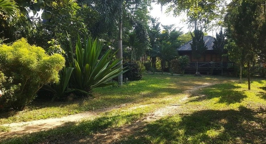 For sale land in Mae Taeng, Chiang Mai