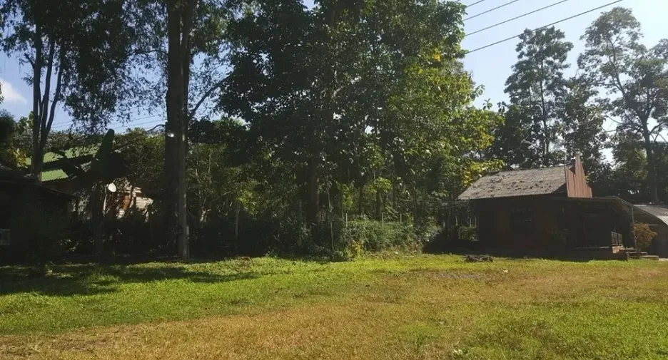 For sale land in Mae Taeng, Chiang Mai