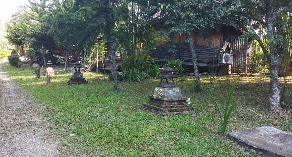 For sale land in Mae Taeng, Chiang Mai