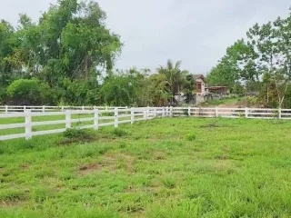 Terreno en venta en Mae Rim, Chiang Mai