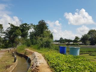出售 土地 在 San Sai, Chiang Mai
