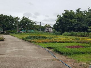 出售 土地 在 San Sai, Chiang Mai